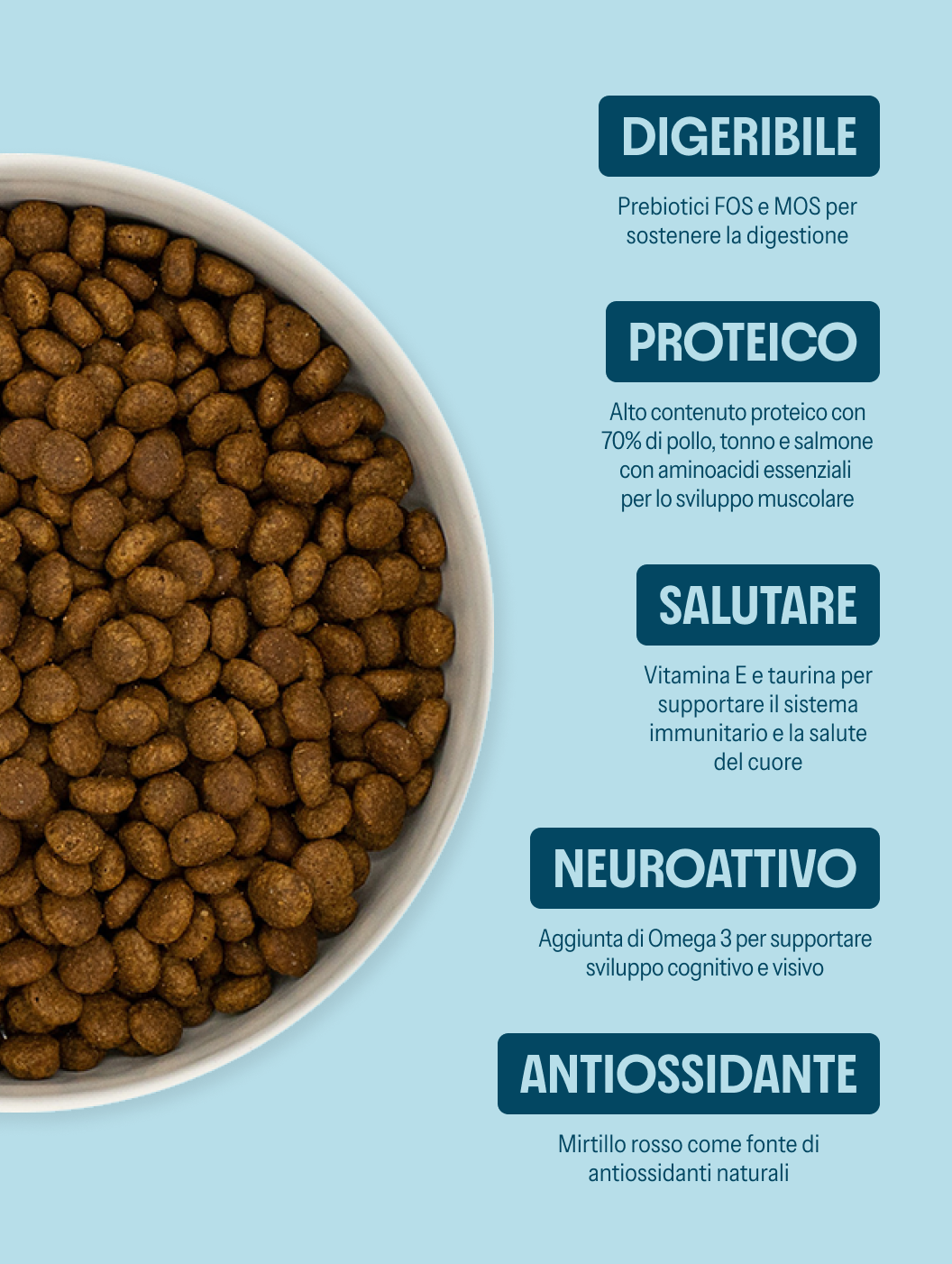 Pollo con tonno e salmone