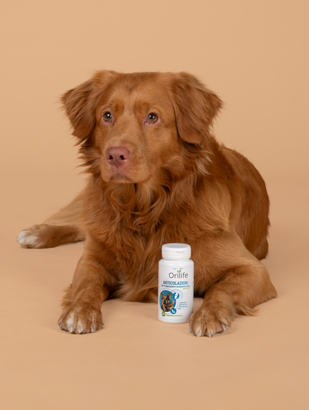 Integratore articolazioni