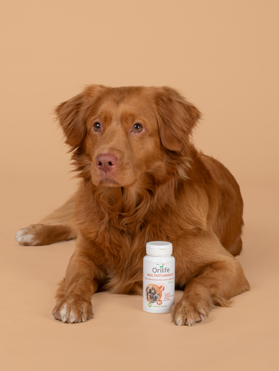 Integratore multivitaminico