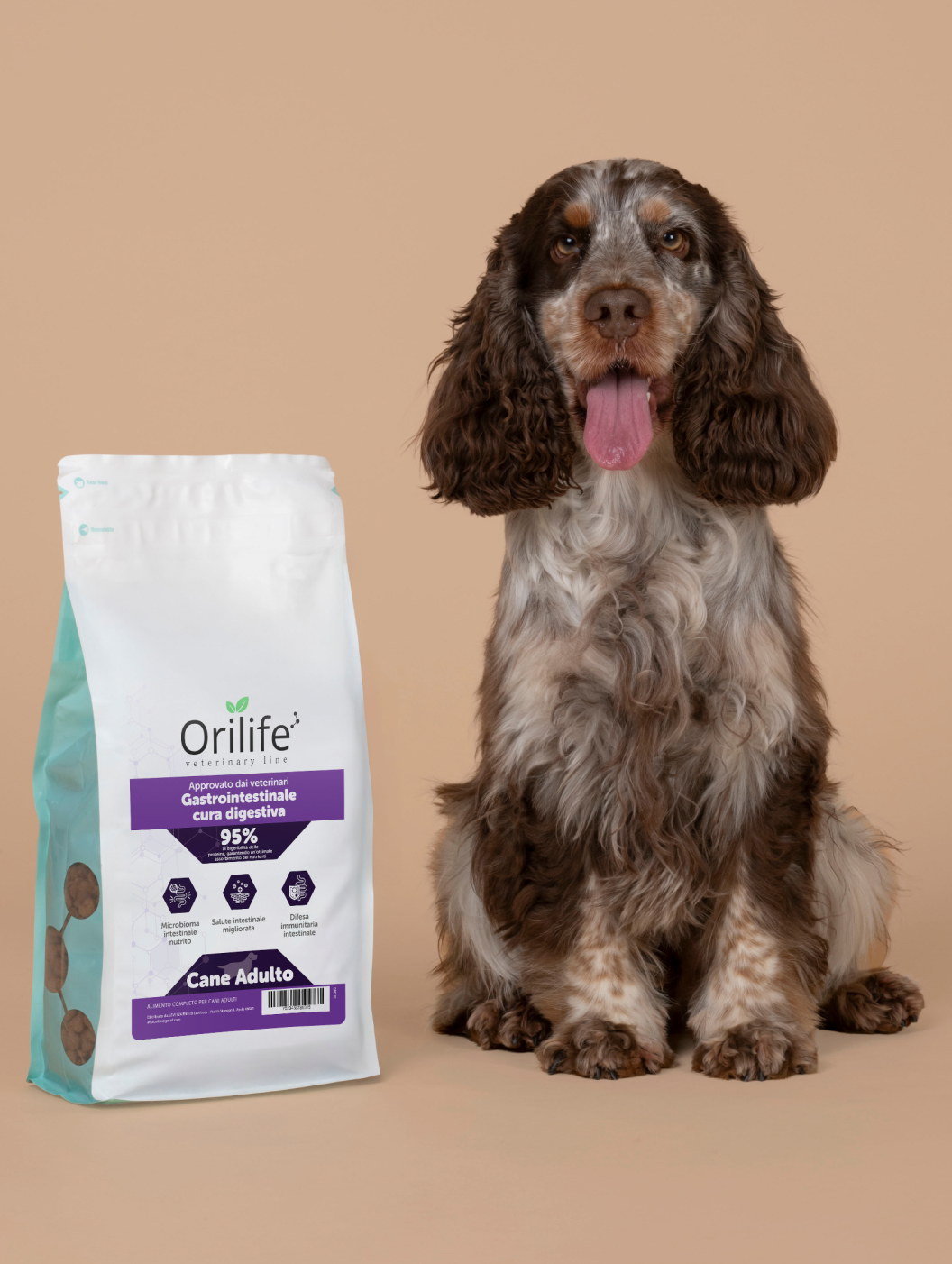 Gastrointestinale, cura digestiva