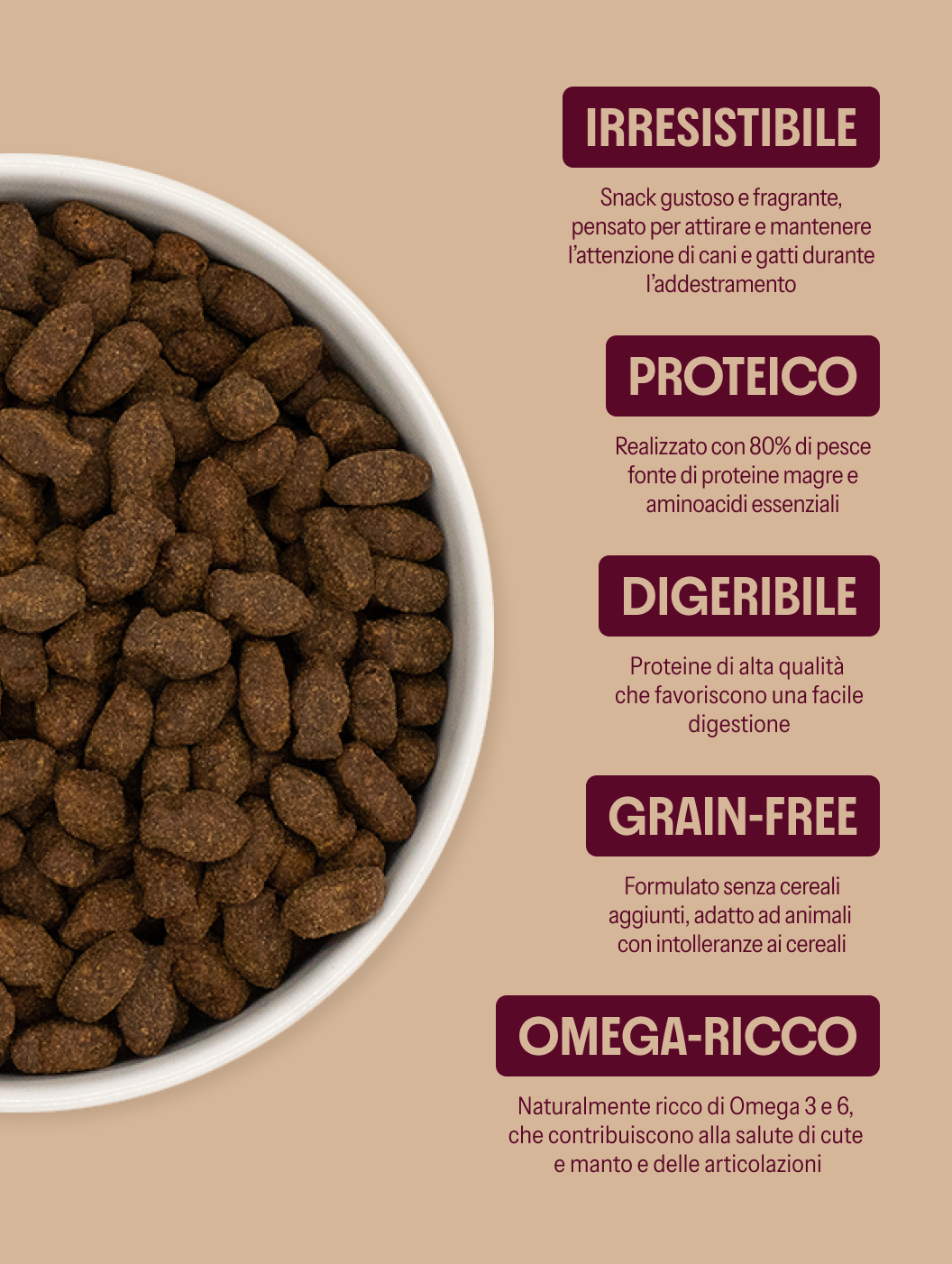 Snack Delizie di pesce