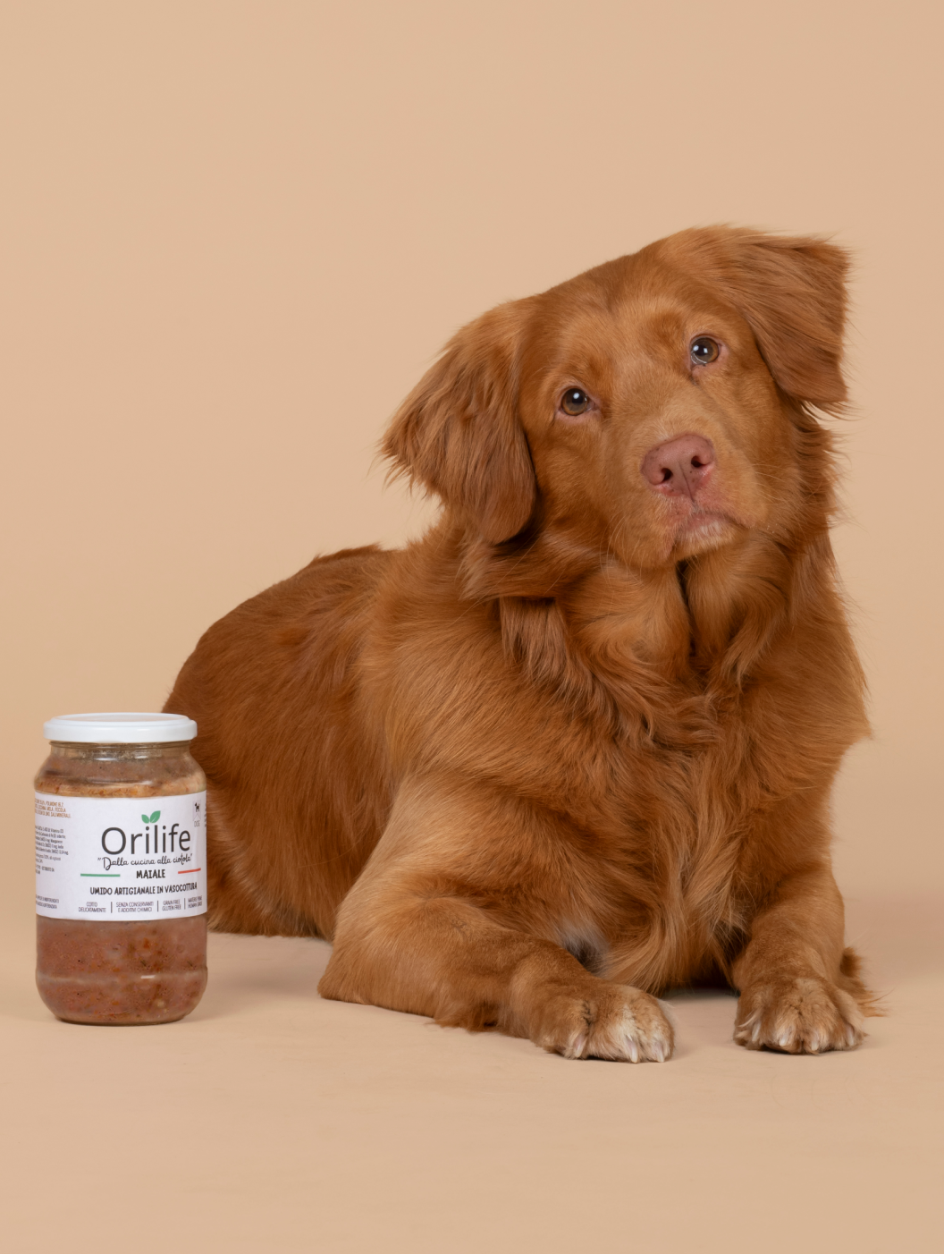 Maiale in vasocottura