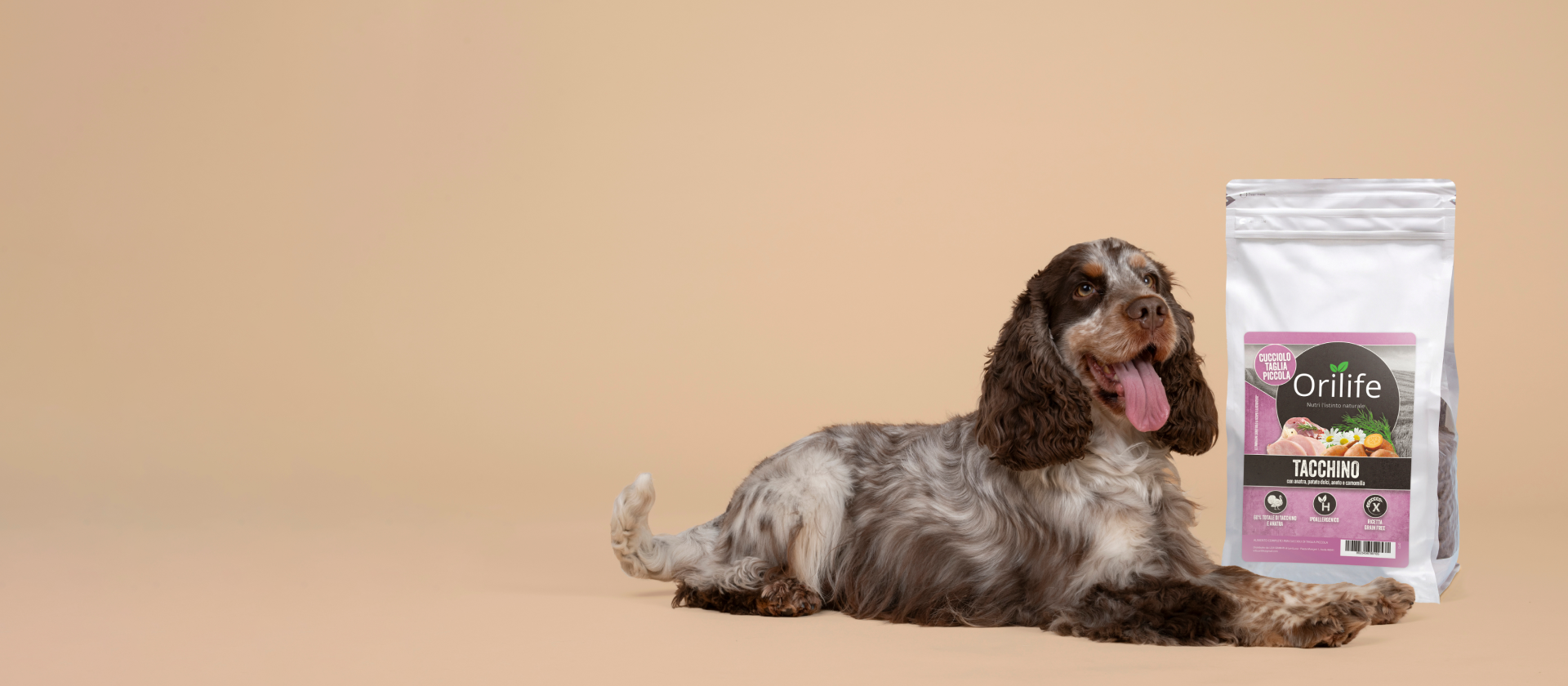 Crocchette per cani adulti