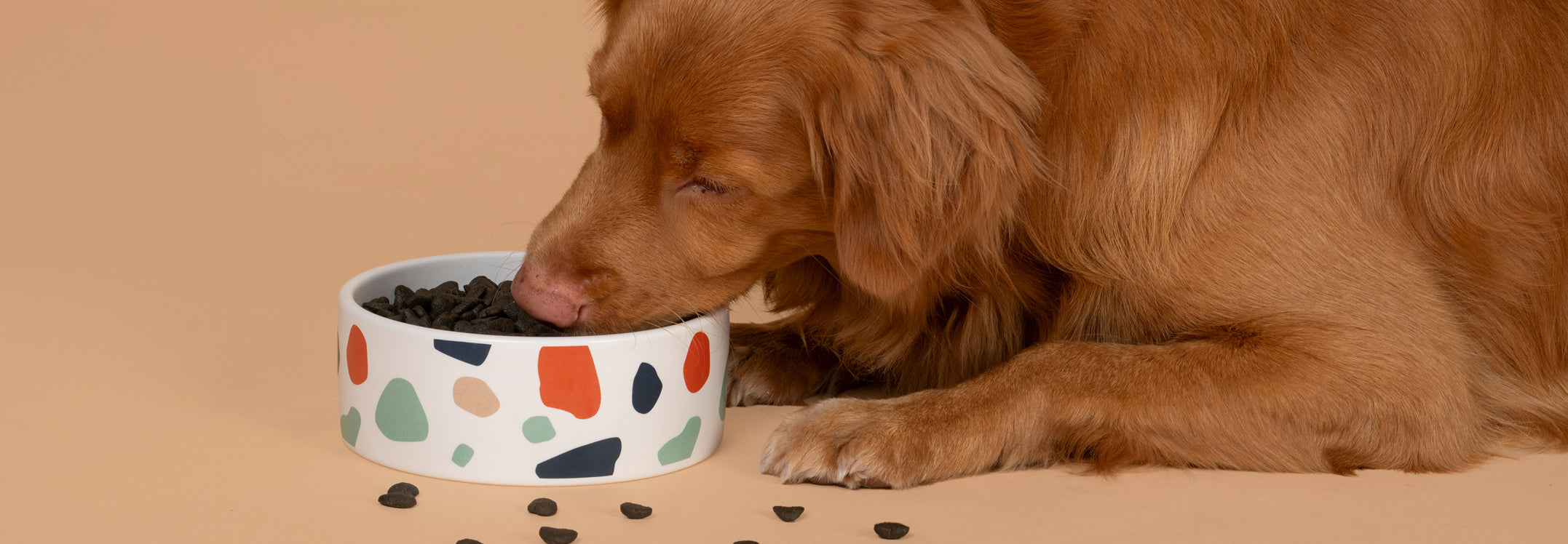 Crocchette Linea Veterinaria per cani