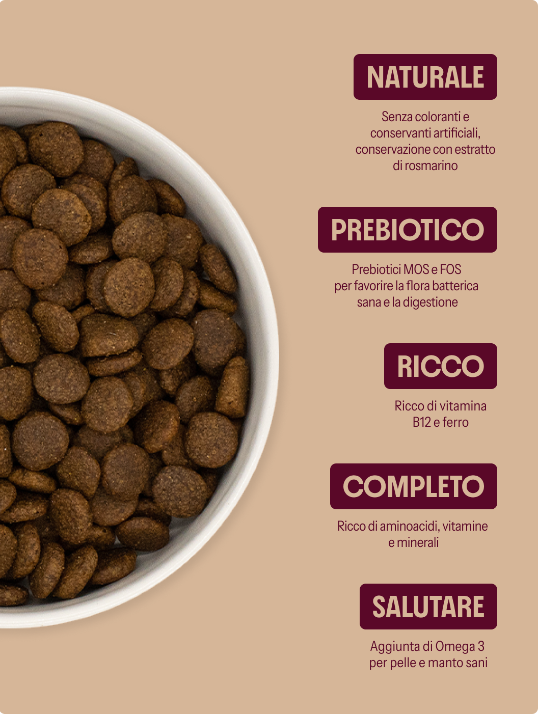 Anatra con patate dolci e arance