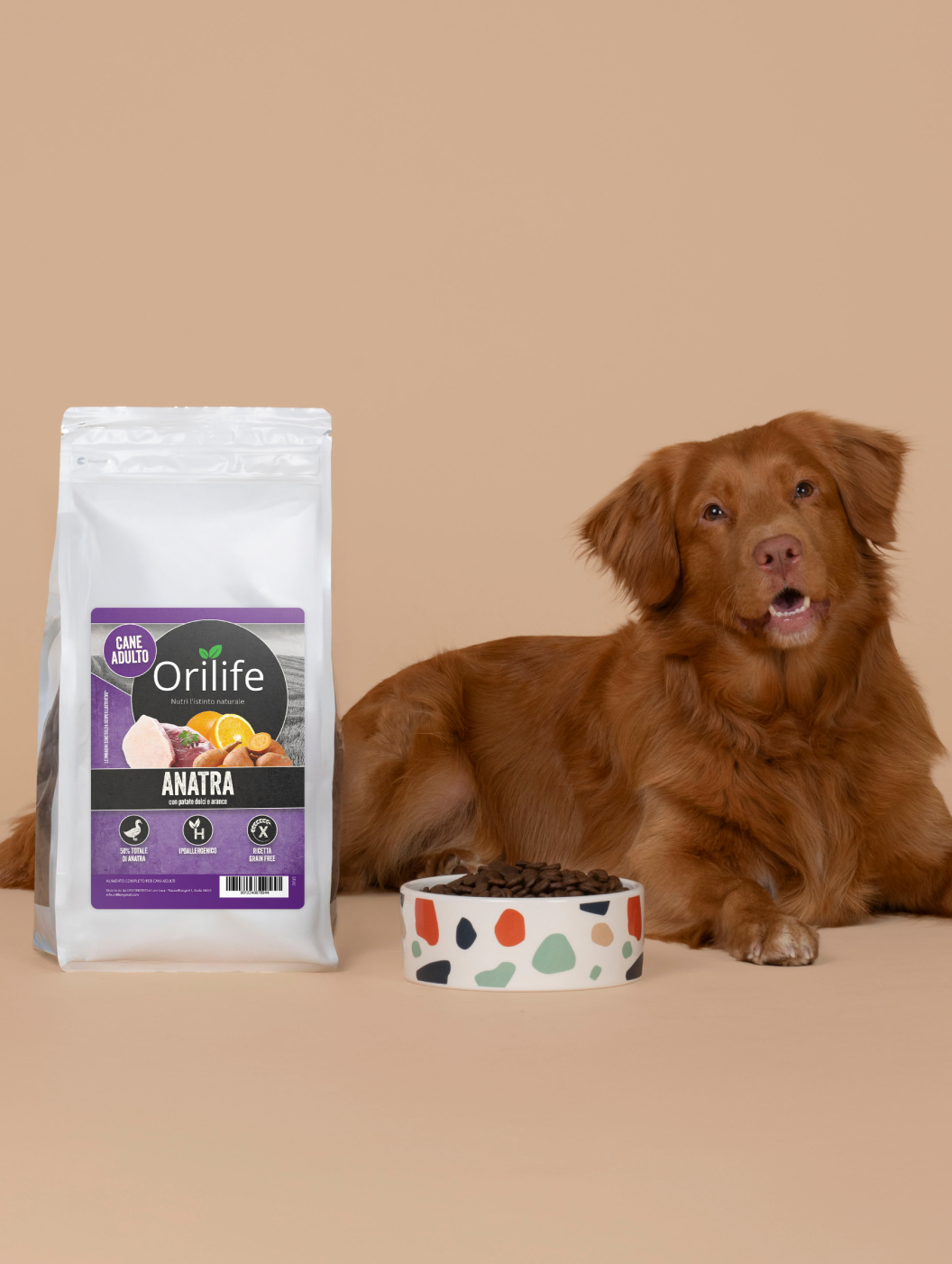 Anatra con patate dolci e arance