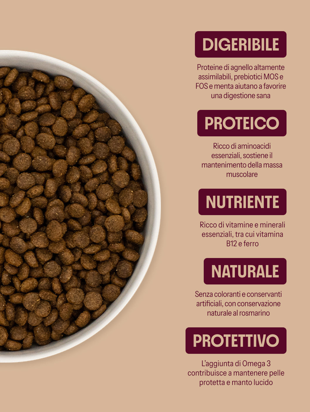 Anatra con patate dolci e arance