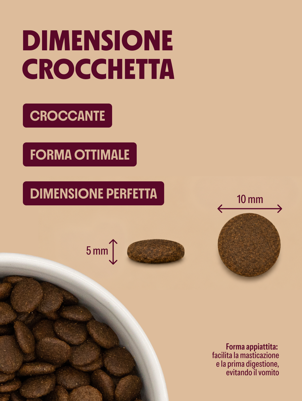 Box Prova Orilife – Cane Adulto
