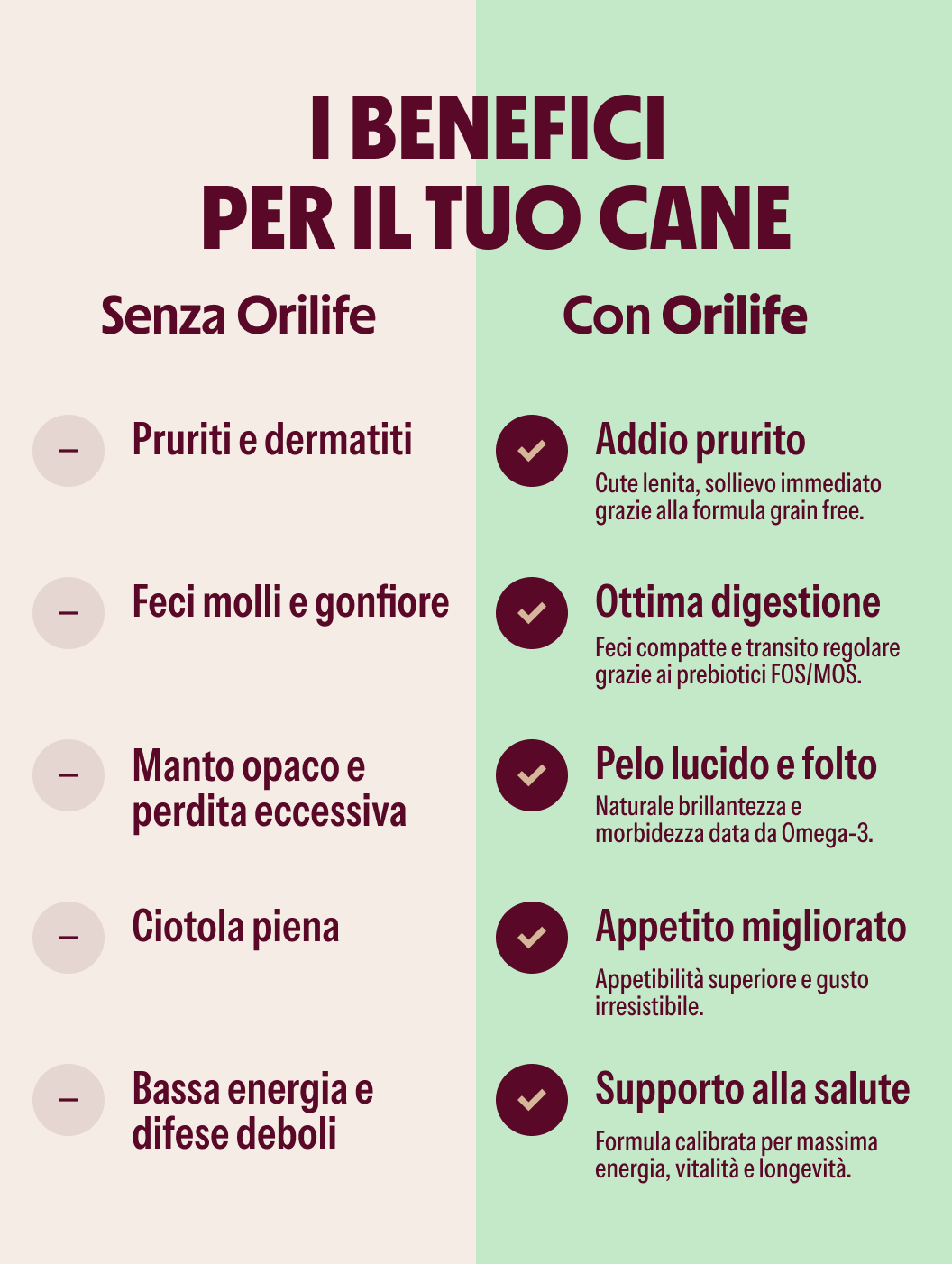Box Prova Orilife – Cane Adulto