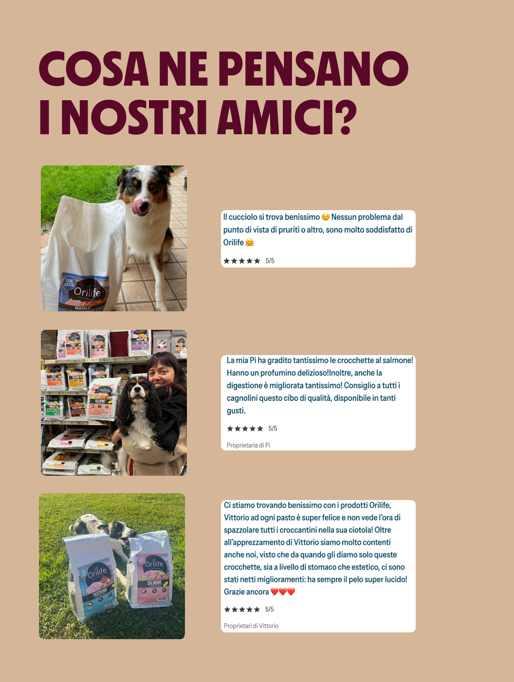 Box Prova Orilife – Cane Adulto