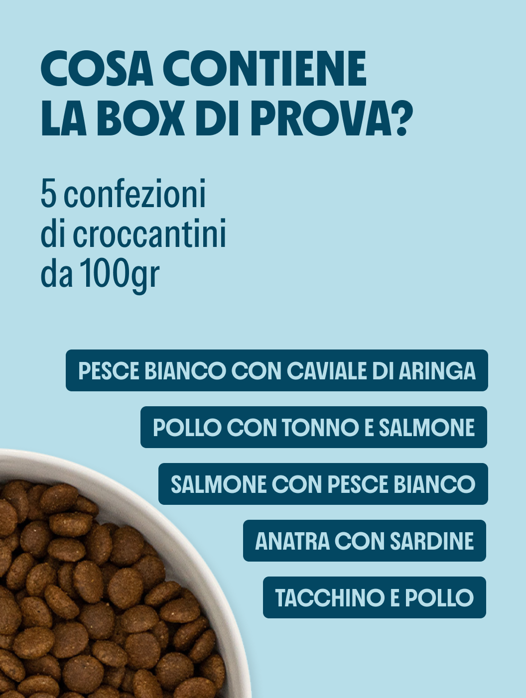 Box Prova Orilife – Gatto