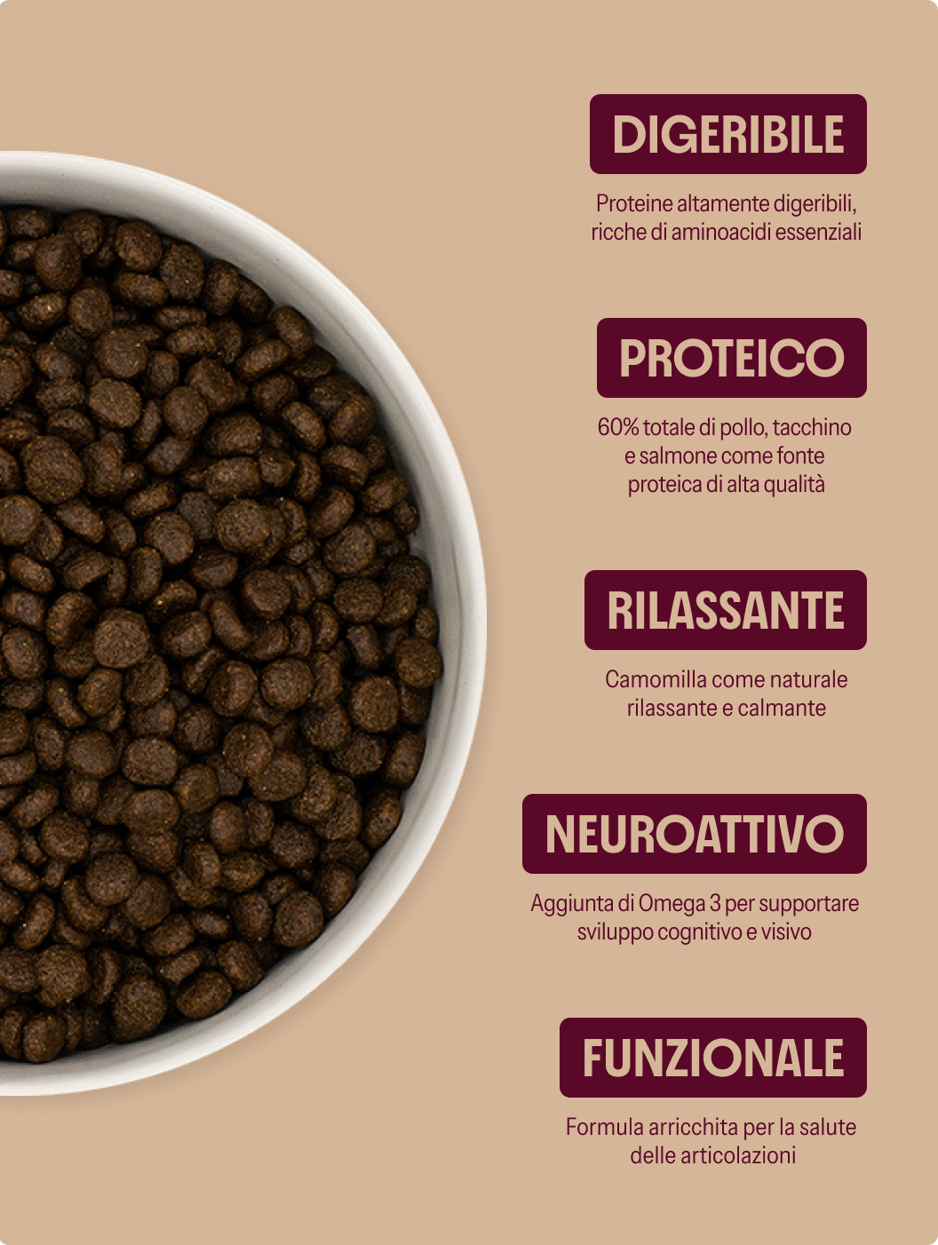 Pollo con tacchino, salmone, patate dolci e carote