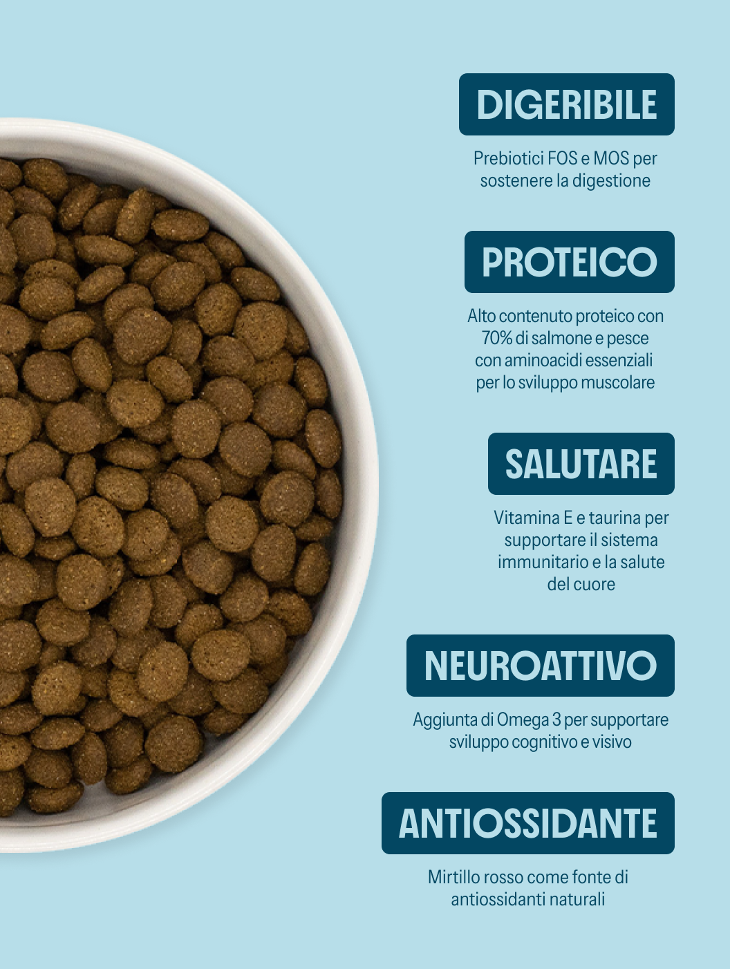 Salmone con pesce bianco