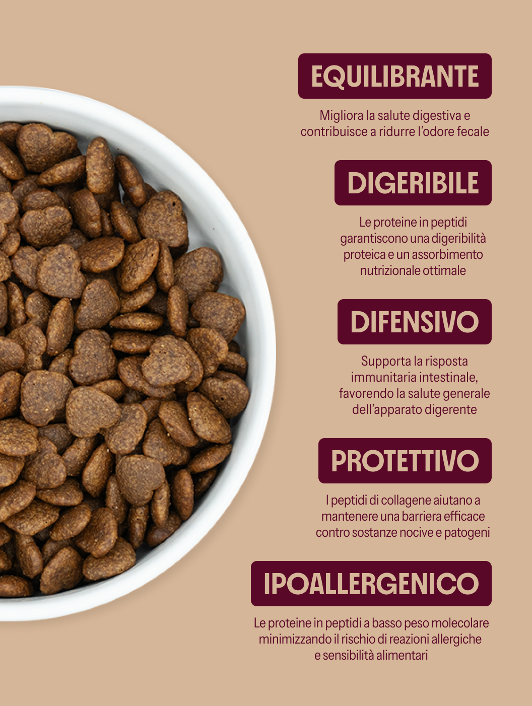 Gastrointestinale, cura digestiva