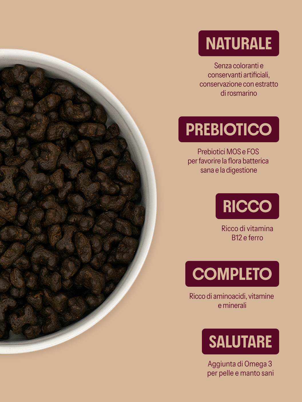 Snack Cute e mantello