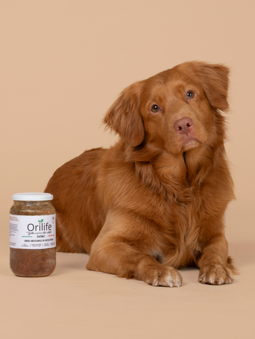 Ovino in vasocottura