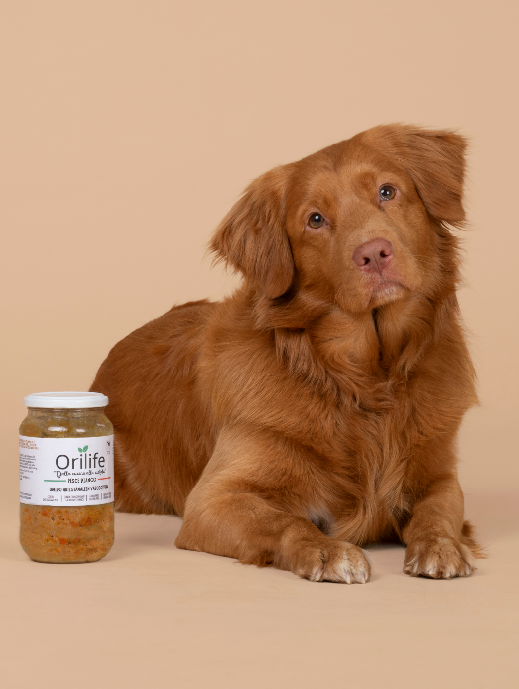 Pesce Bianco in vasocottura