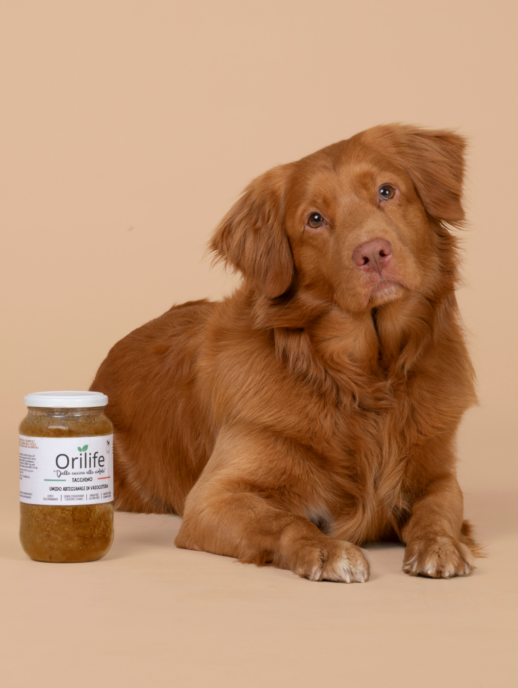 Tacchino in vasocottura